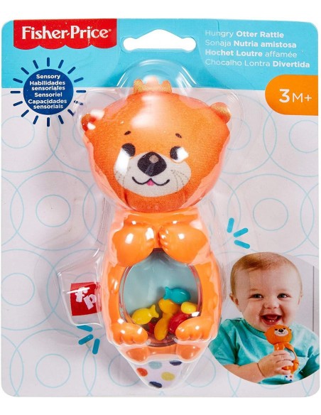 Jucării pentru bebeluși - FISHER PRICE JUCARII ZORNAITOARE VIDRA